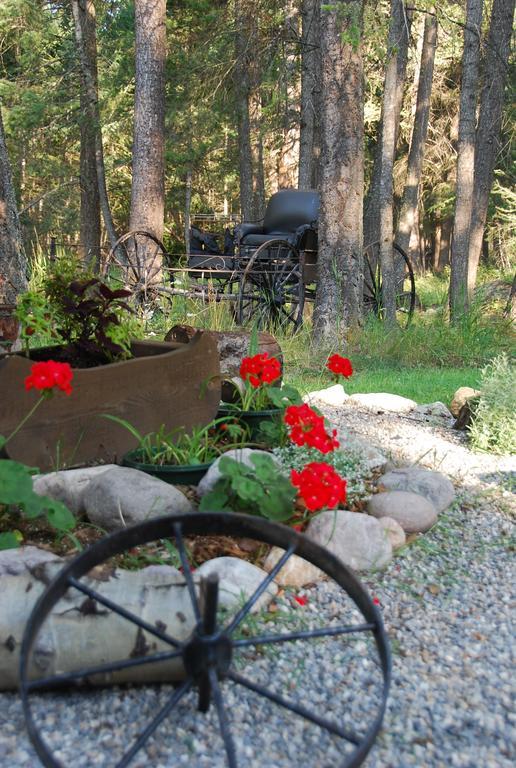 Kicking Horse Canyon Guest House Golden Exteriér fotografie
