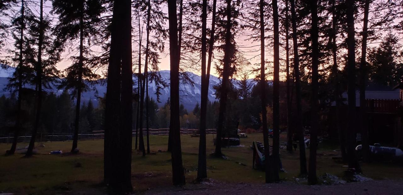 Kicking Horse Canyon Guest House Golden Exteriér fotografie