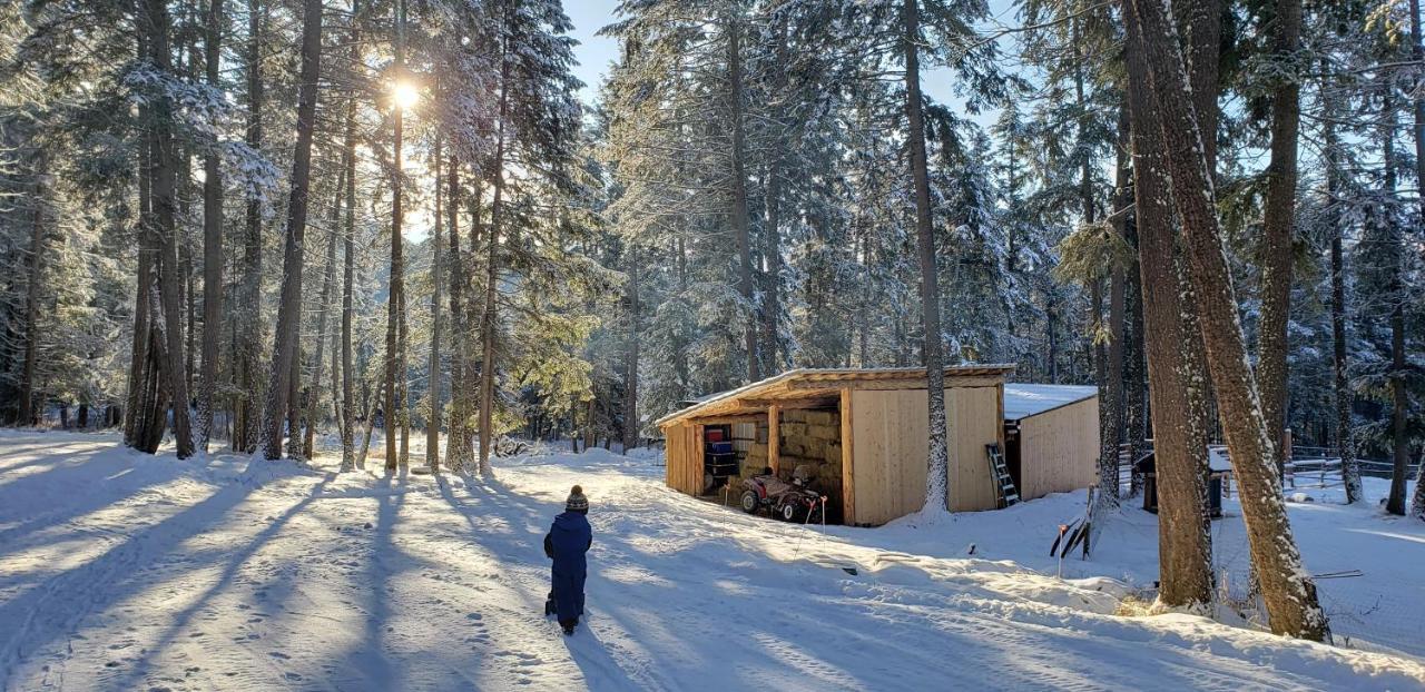 Kicking Horse Canyon Guest House Golden Exteriér fotografie